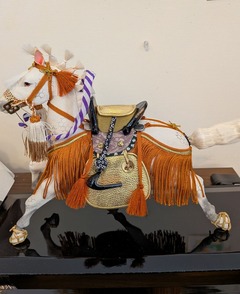 PXL_20251230_023635399