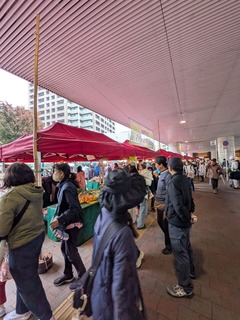 PXL_20251109_012420826