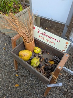 PXL_20251106_044337666