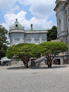 PXL_20260612_023822337