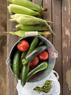 mitene26C53A6C-0A1A-4905-87E5-3E4D28FB5086-1