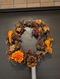 PXL_20251101_041906030