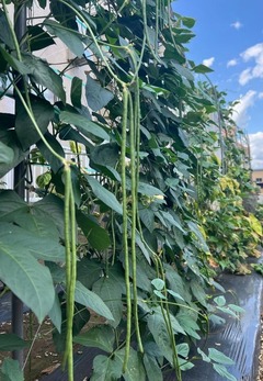 Screenshot_20230721-174513_Instagram