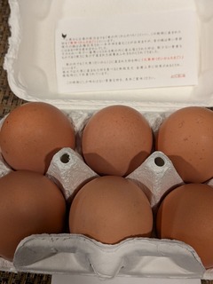 PXL_20260121_081709467