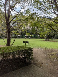 PXL_20251007_043903880