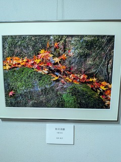 PXL_20251106_035648595