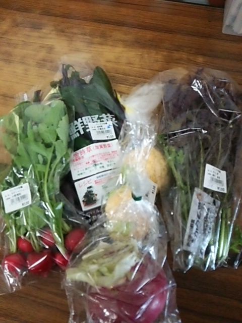 イメージ 11