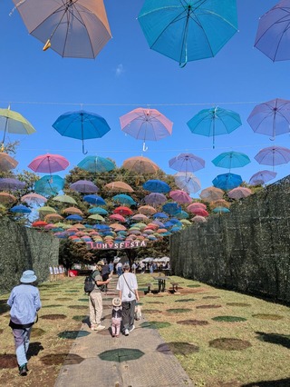 PXL_20251017_015411067