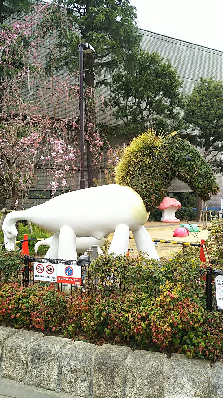 イメージ 5