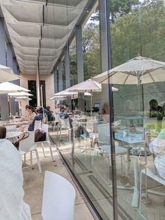 PXL_20251007_031646872~2