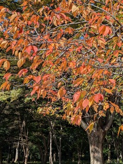 PXL_20251115_020257340