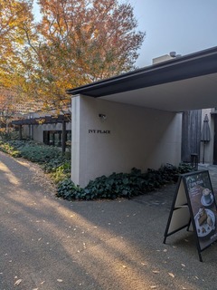 PXL_20251121_060437529