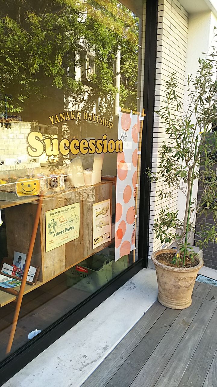 イメージ 6