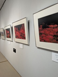 PXL_20251106_034956221