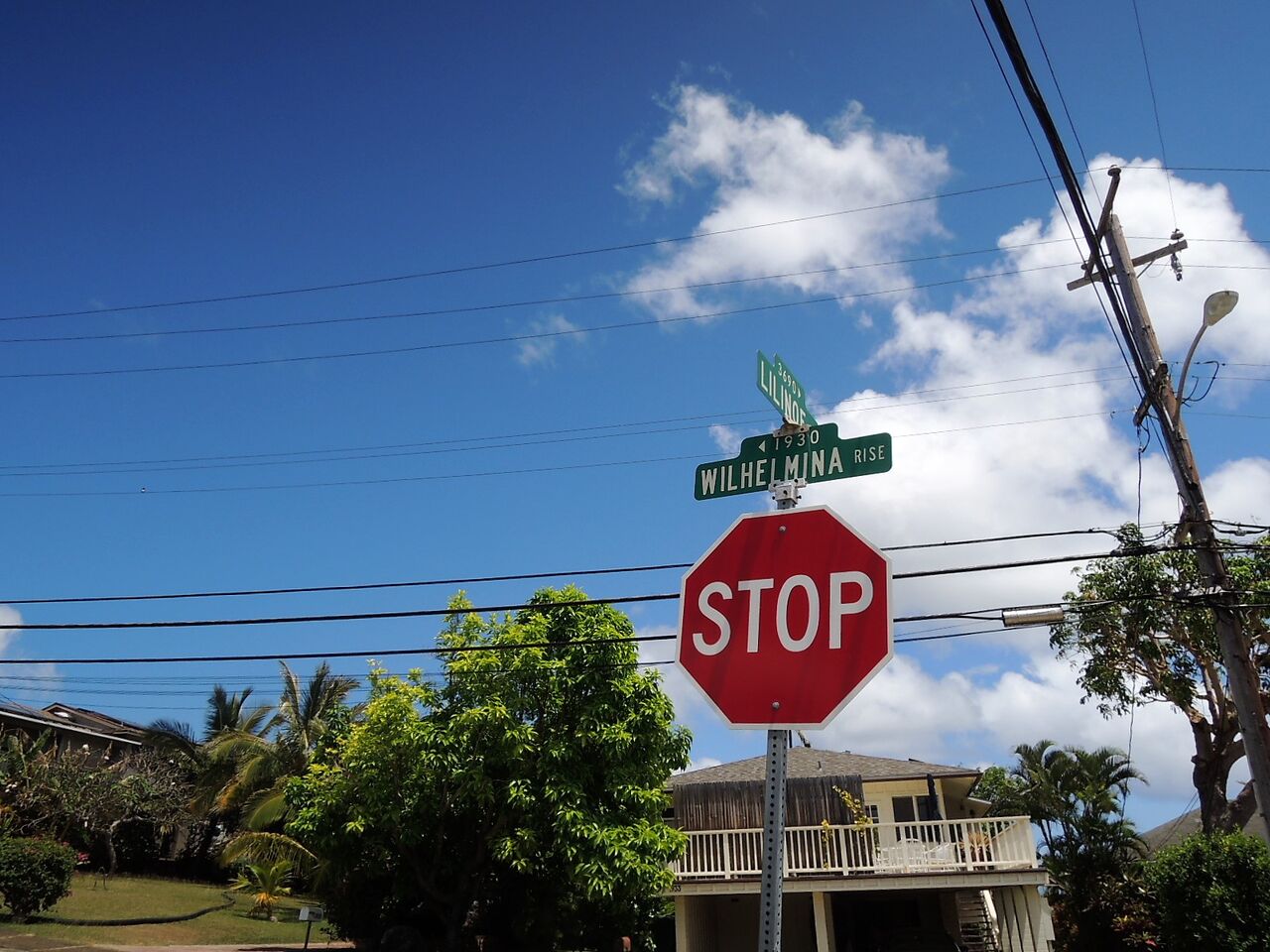 ウィルヘルミナライズへ Uraraのあちこち旅日記