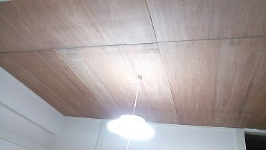 NCM_0878 (1)