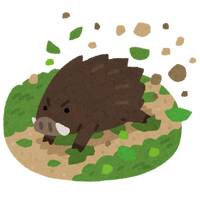 animal_inoshishi_hatake_arasu