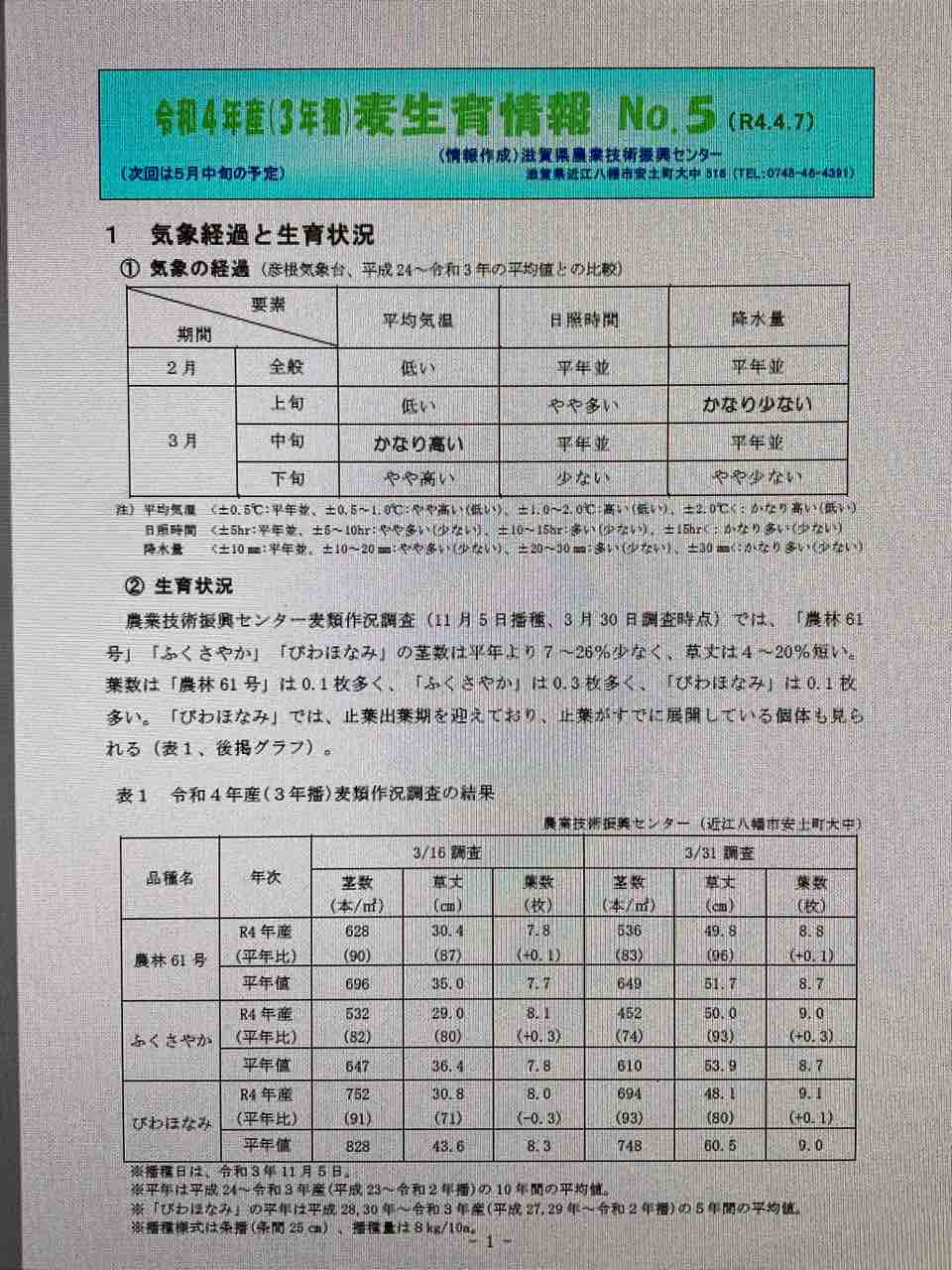 令和4年度 3年播 麦 生育情報no5がアップされています Jaグリーン近江tacのblog