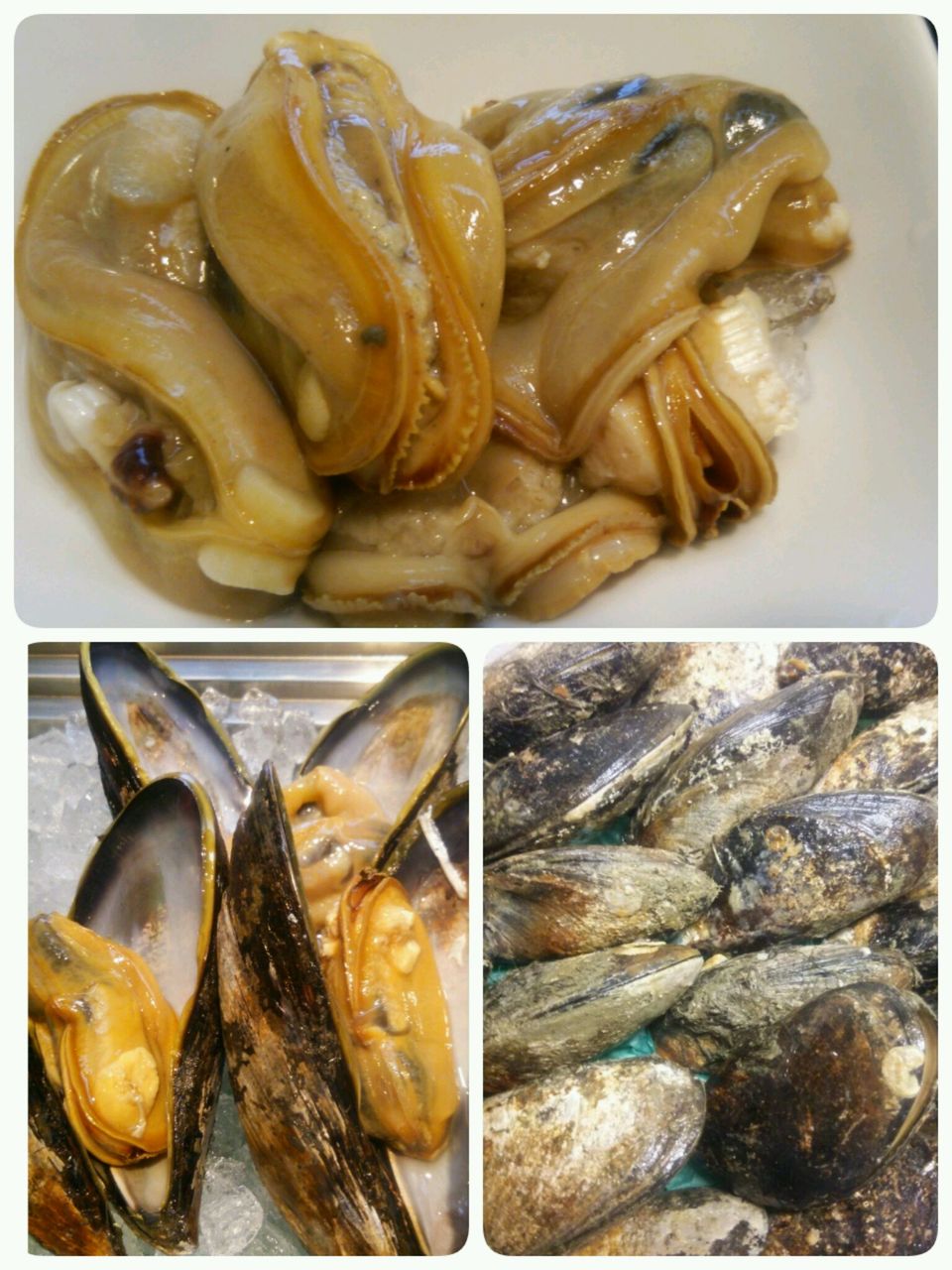 殻付きです 栄六の一日