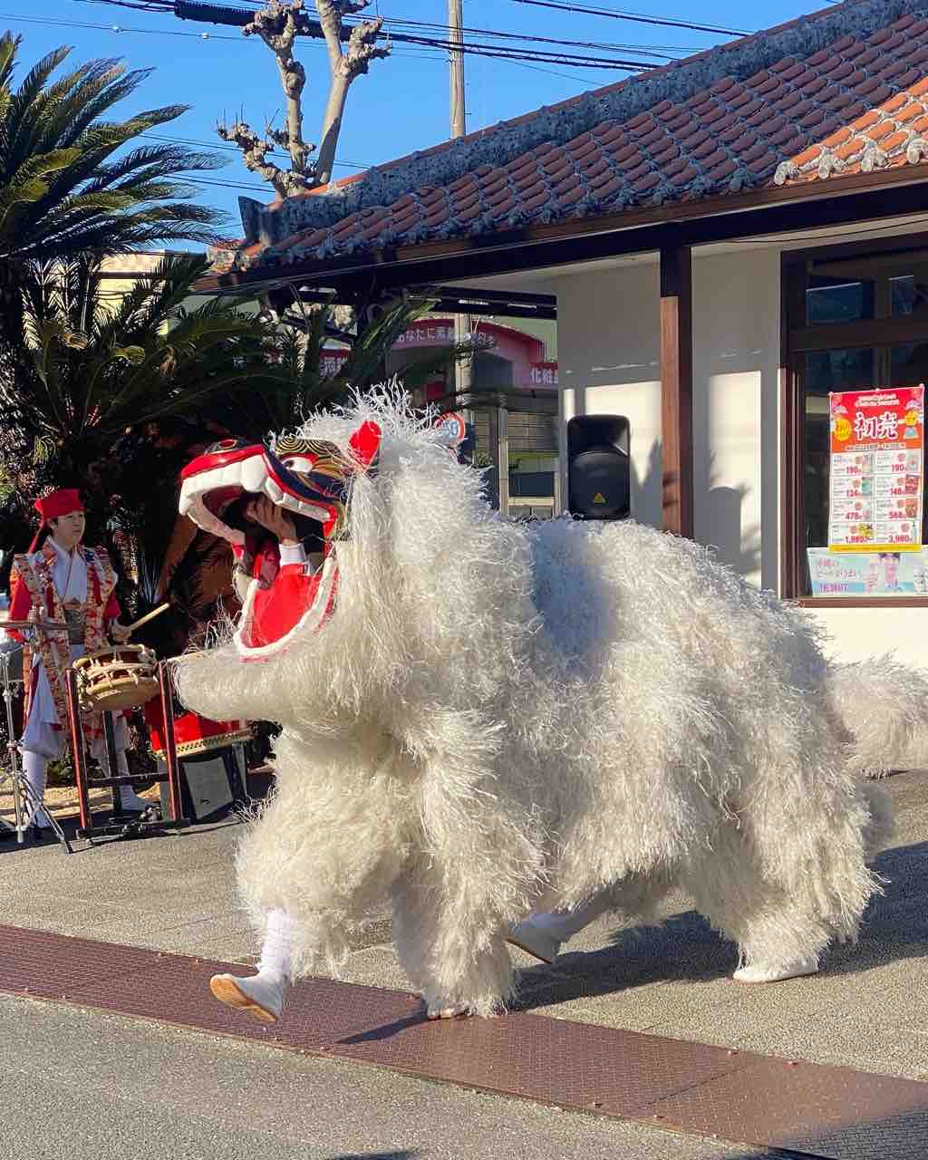 わした静岡店琉球獅子舞 : エイサーチーム 琉神