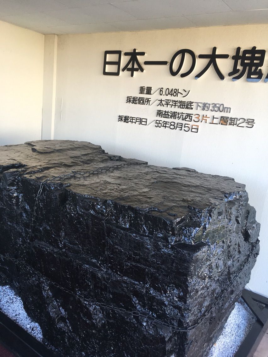 黒いダイヤ : 釧路衛星バスガイド日記