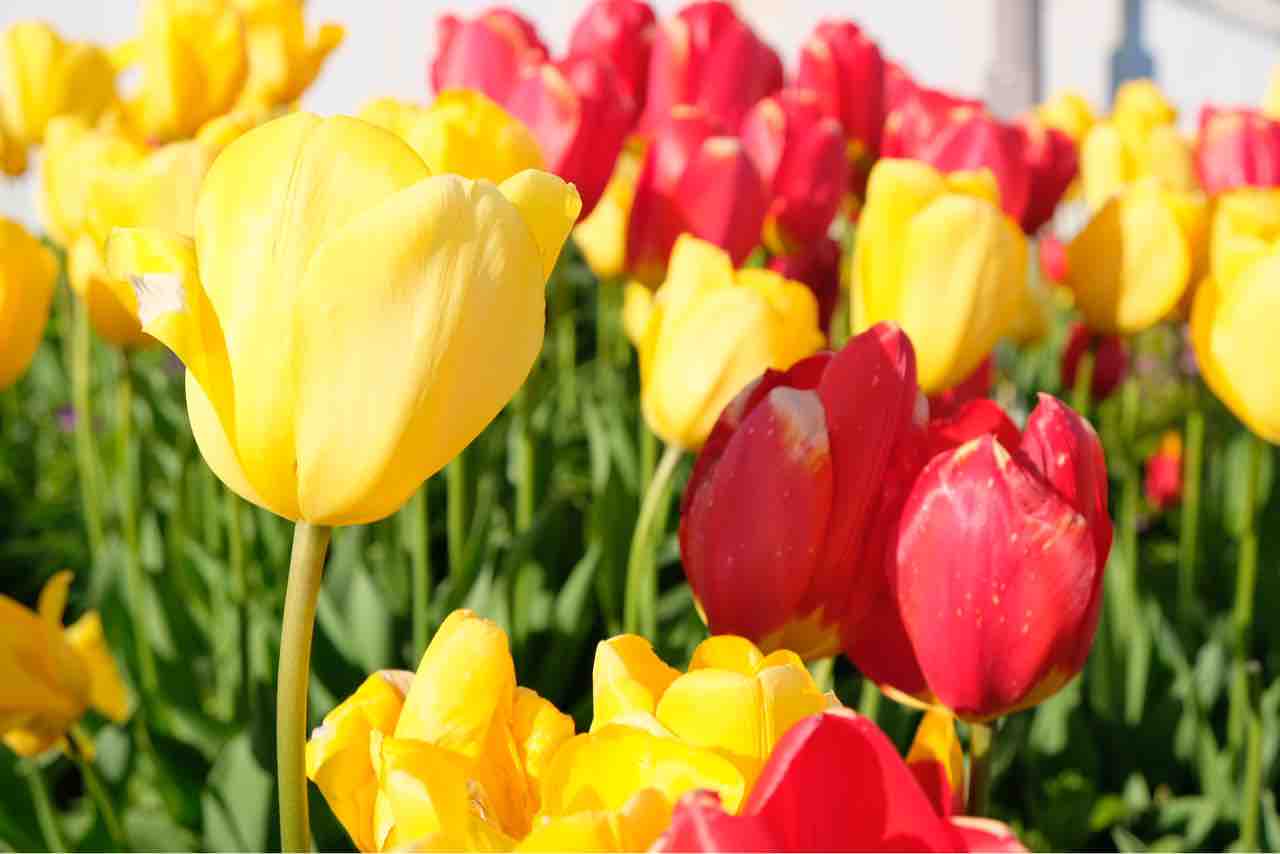 あたたかい釧路 釧路衛星バスガイド日記 あたたかい釧路 釧路衛星バスガイド日記