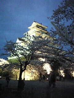鶴ヶ城の桜