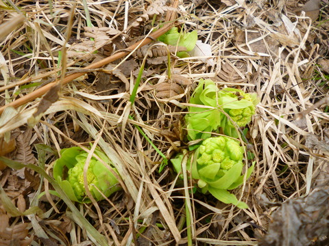 P1050694