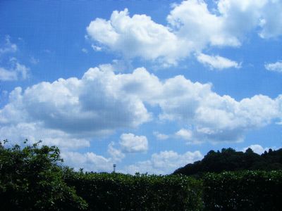 kumo