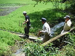 hirakiike2
