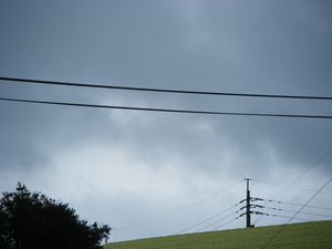 tuyusora