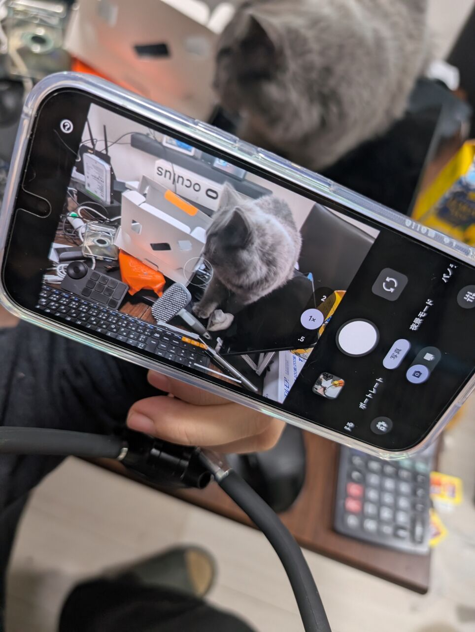 やっちゃった 携帯電話 機種変更 Pixel 9a 256GB : よもやまダイエット
