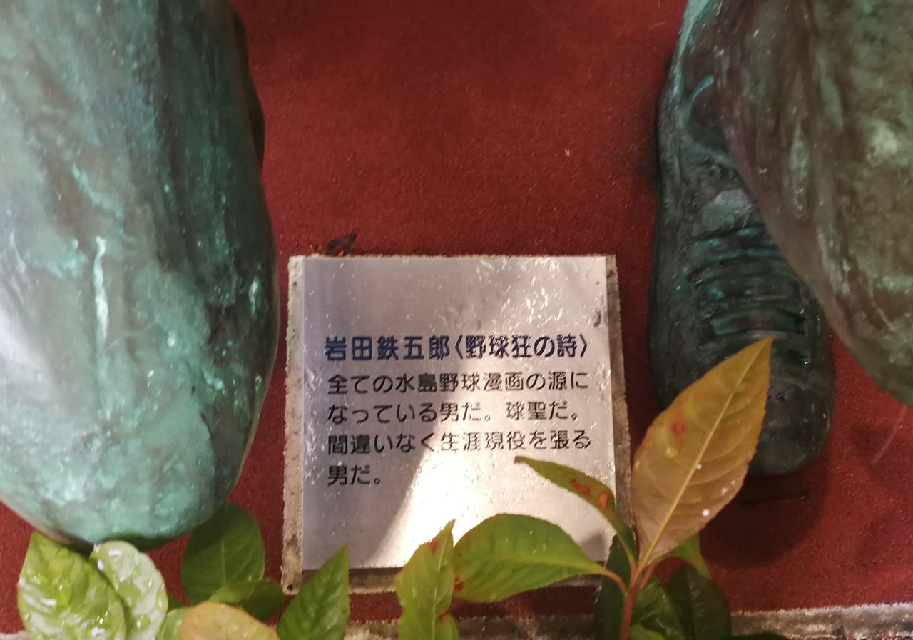 イメージ 13