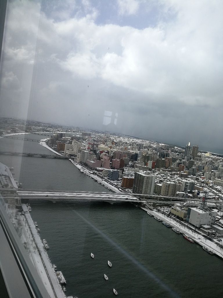 イメージ 13