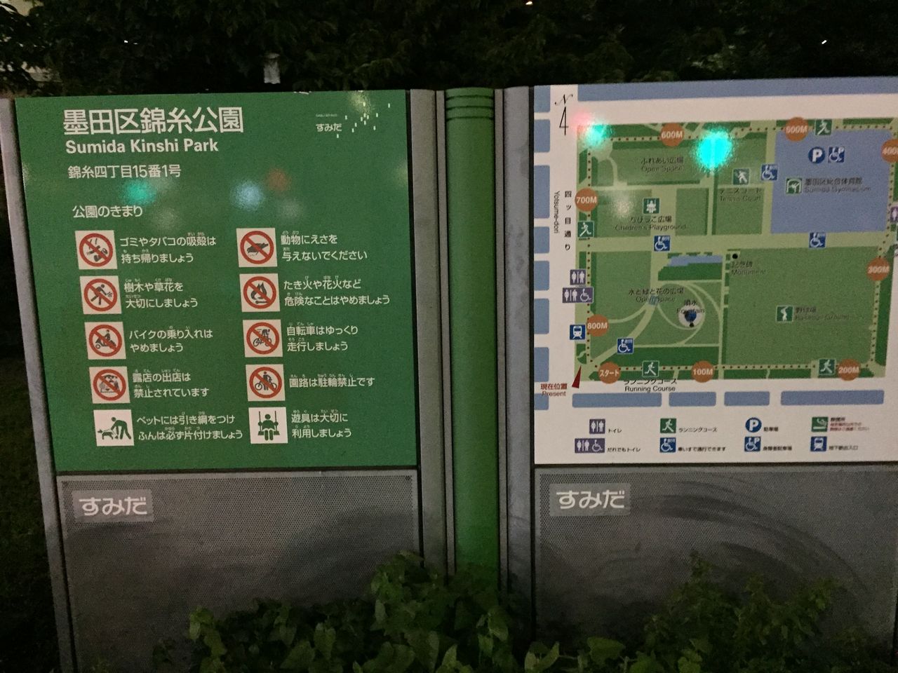 新ダイエット週間 18日目 ポケモン三昧 ポケモンgo 32日 よもやまダイエットブログ3