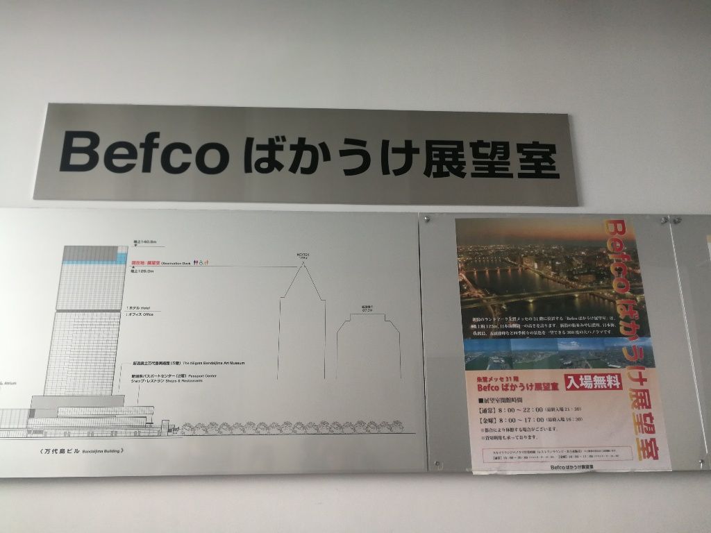 イメージ 11