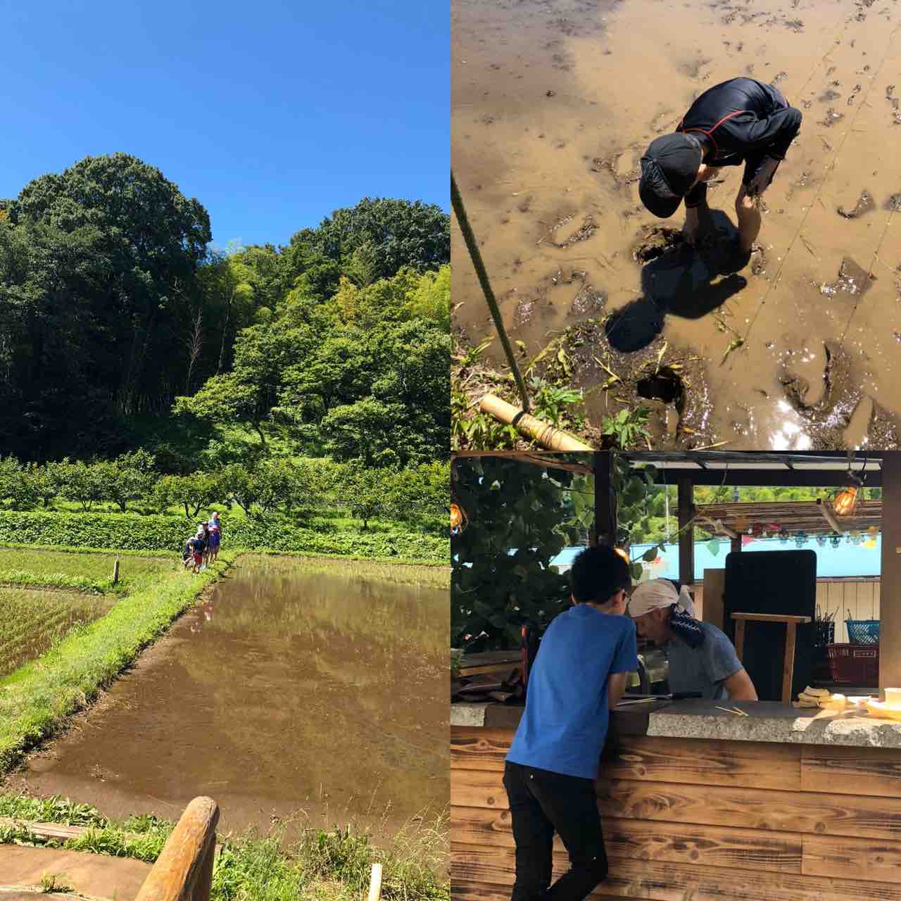 英語で田植え 流しそうめん 英語できないママのdwe奮闘記