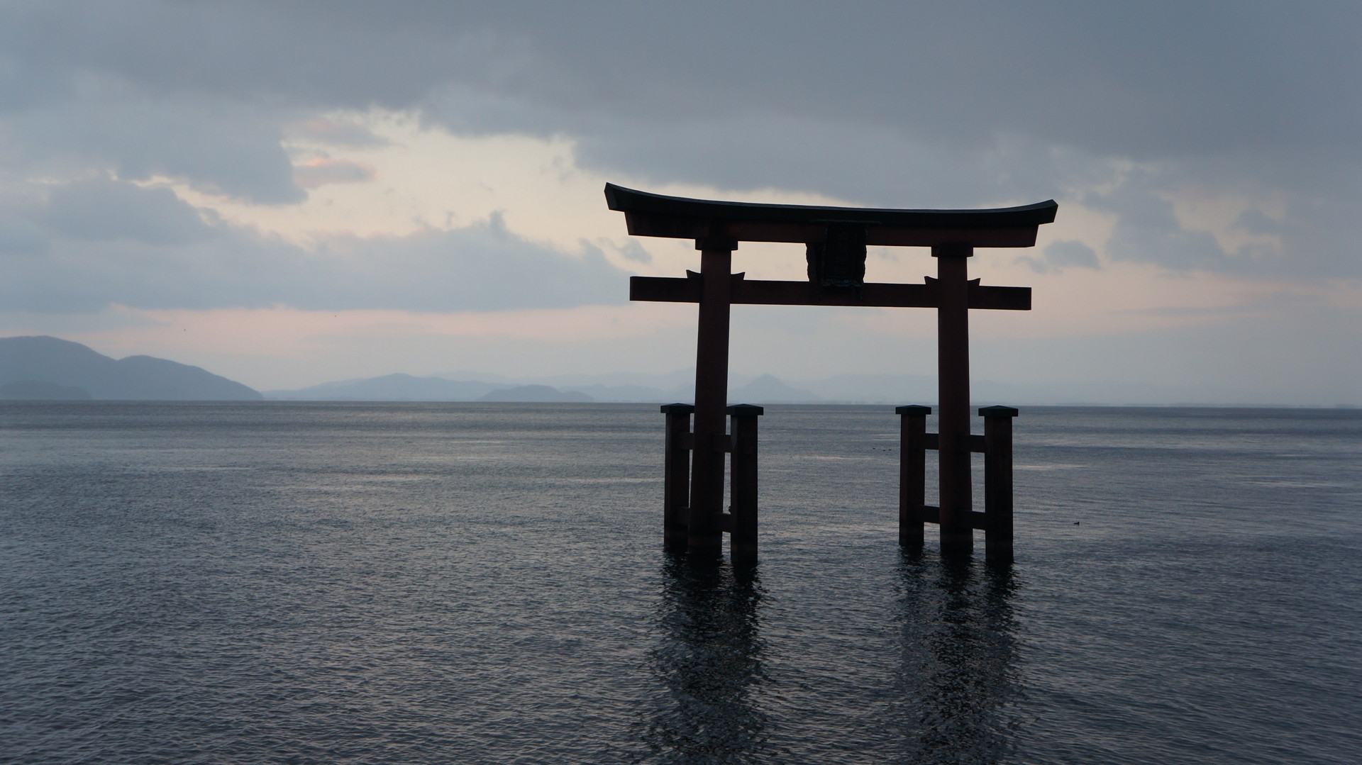 トレクル】白ひげ(海賊祭)の評価【ワンピース トレジャー