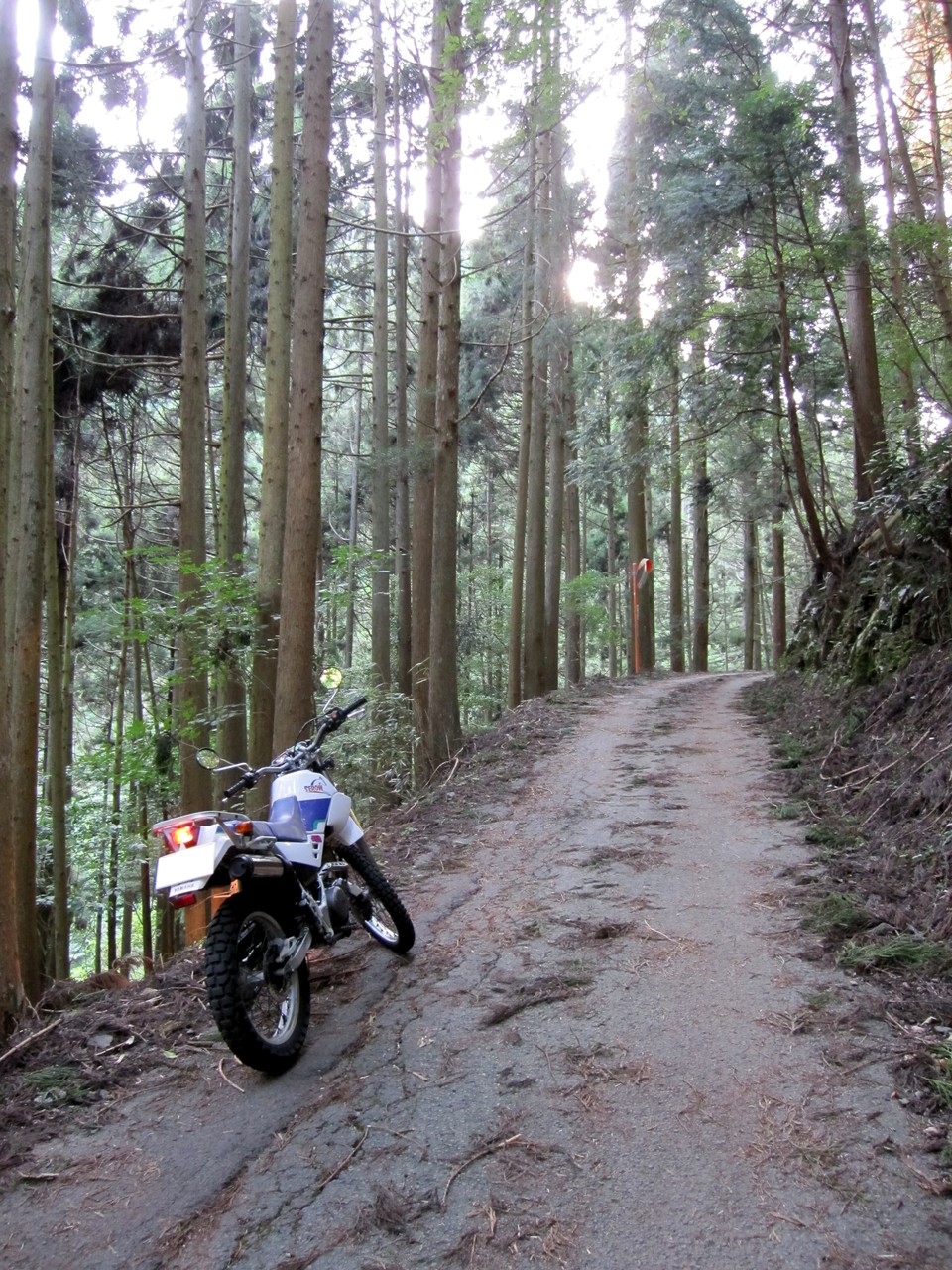 貴船神社にお散歩の後 林道開拓 旧道花背峠を攻める 後編 Eitaro Ninja