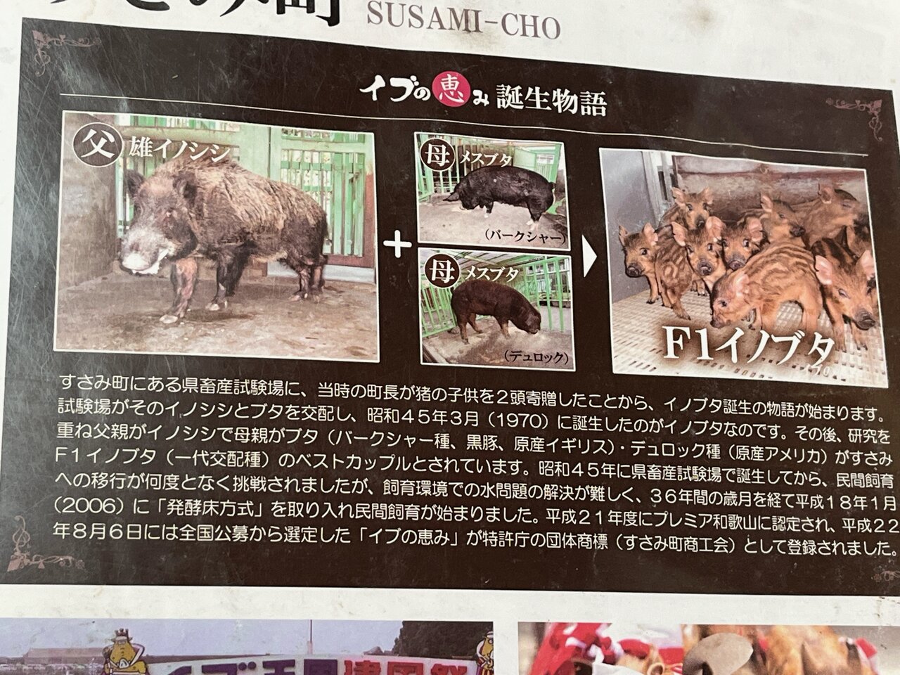 イノシシとブタを掛け合わせた品種イノブタ肉を使用したイノブタ丼 和歌山県すさみ町江住 みき食堂 : EITIの主に和歌山関西食べ歩き