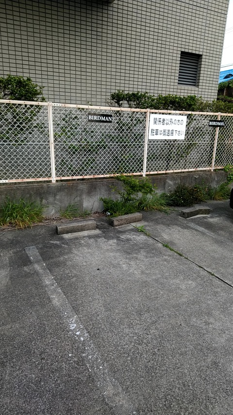20190421_173549079