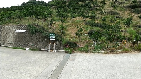 20201004162020_p