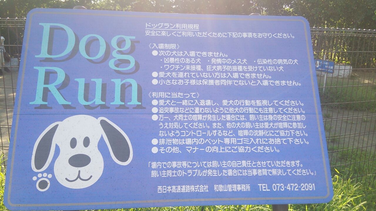 無料ドッグラン 阪和自動車道 紀ノ川サービスエリア下り線 チワワの まる と遊ぶブログ