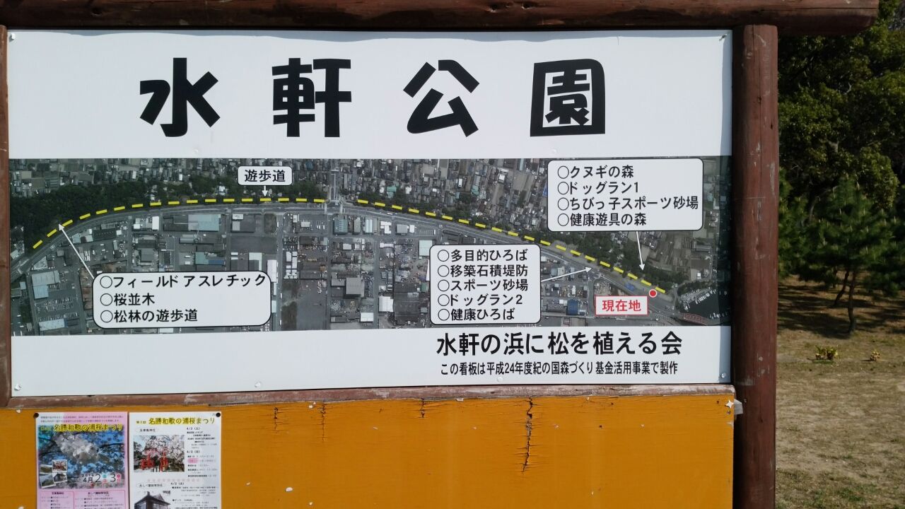 無料ドックラン 和歌山市 水軒ドックラン2 寄付10円以上だけで使える無料の広々ドックラン チワワの まる と遊ぶブログ