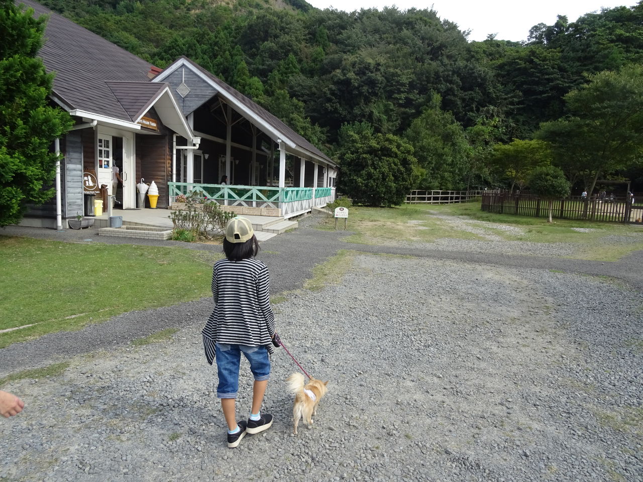 ドッグラン ペット専用温泉 ペットと一緒に宿泊 和歌山県湯浅町 パートナーズハウスゆあさ チワワの まる と遊ぶブログ