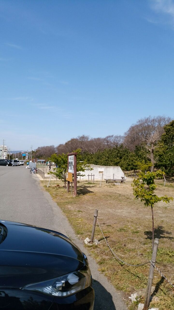 無料ドックラン 和歌山市 水軒ドックラン2 寄付10円以上だけで使える無料の広々ドックラン チワワの まる と遊ぶブログ