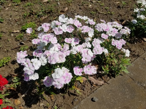 20190511_091758