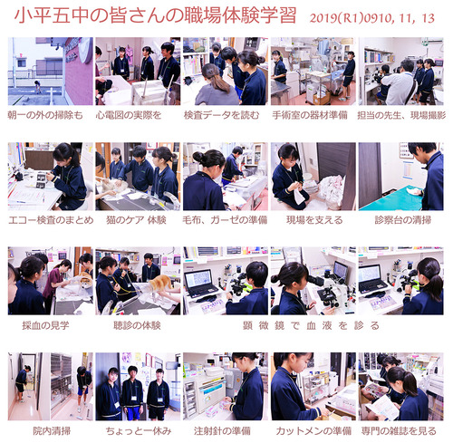 中学生(小平五中)の体験学習 2019(R1)0910 11 13 いろいろなことを体験してもらいました。