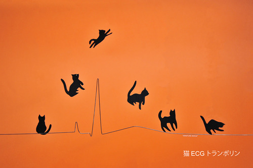 猫 ECGトランポリン PQRST-rampoline