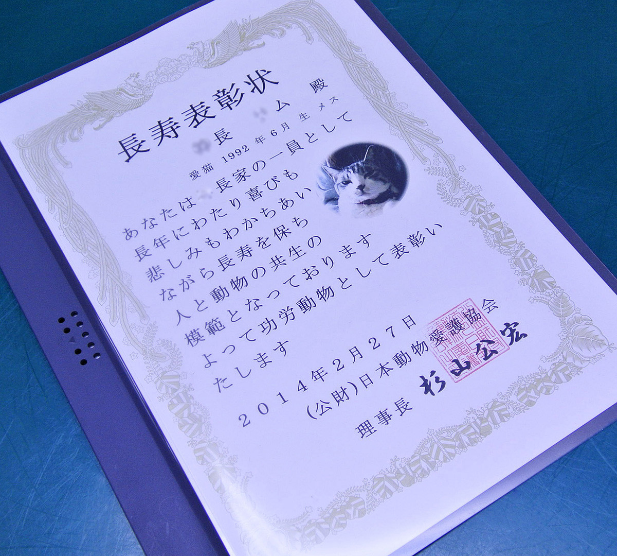 長生きの猫ちゃんが表彰されました ある日の東京ウエスト動物病院 Blog